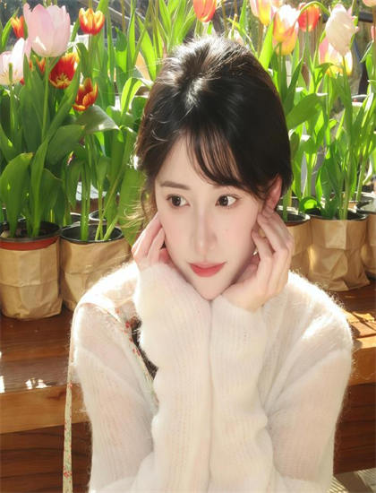 《少林门少林门》美学价值热门分析：艺术美感与审美特征探讨